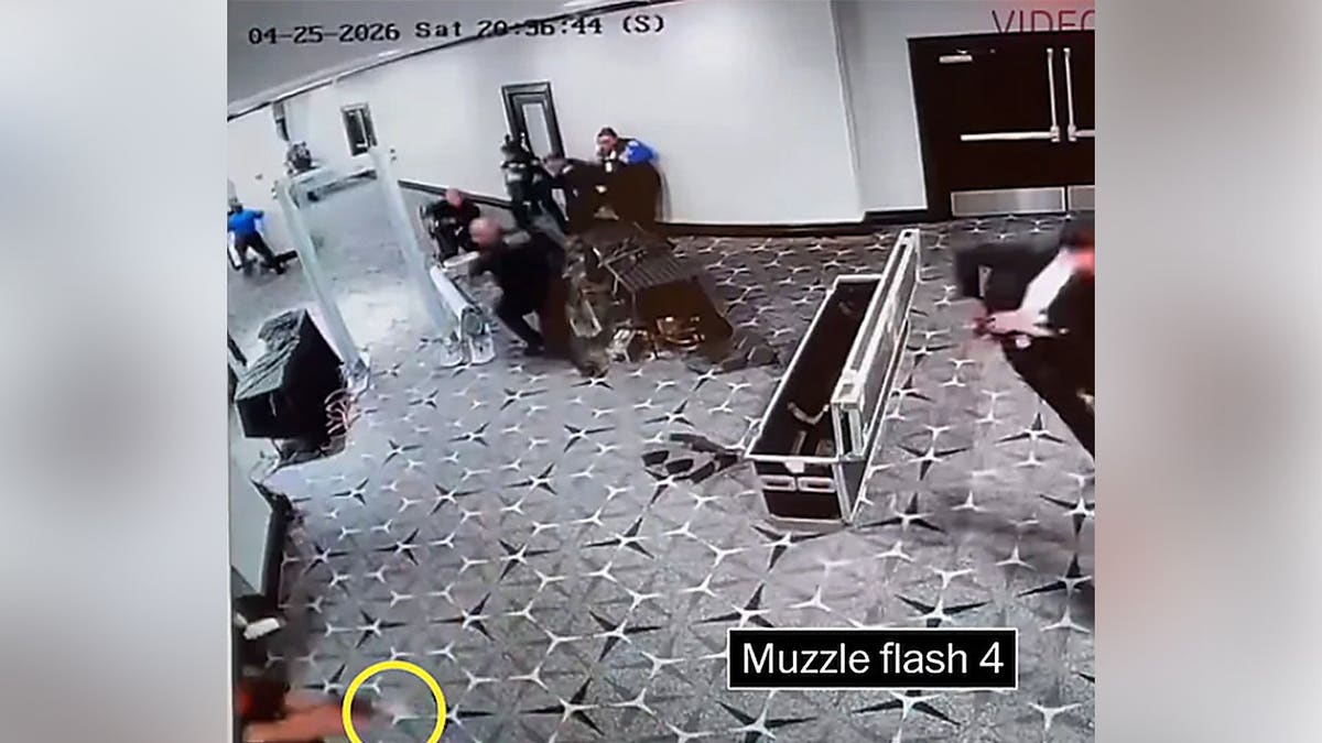 A Secret Service agent fires at Cole Allen