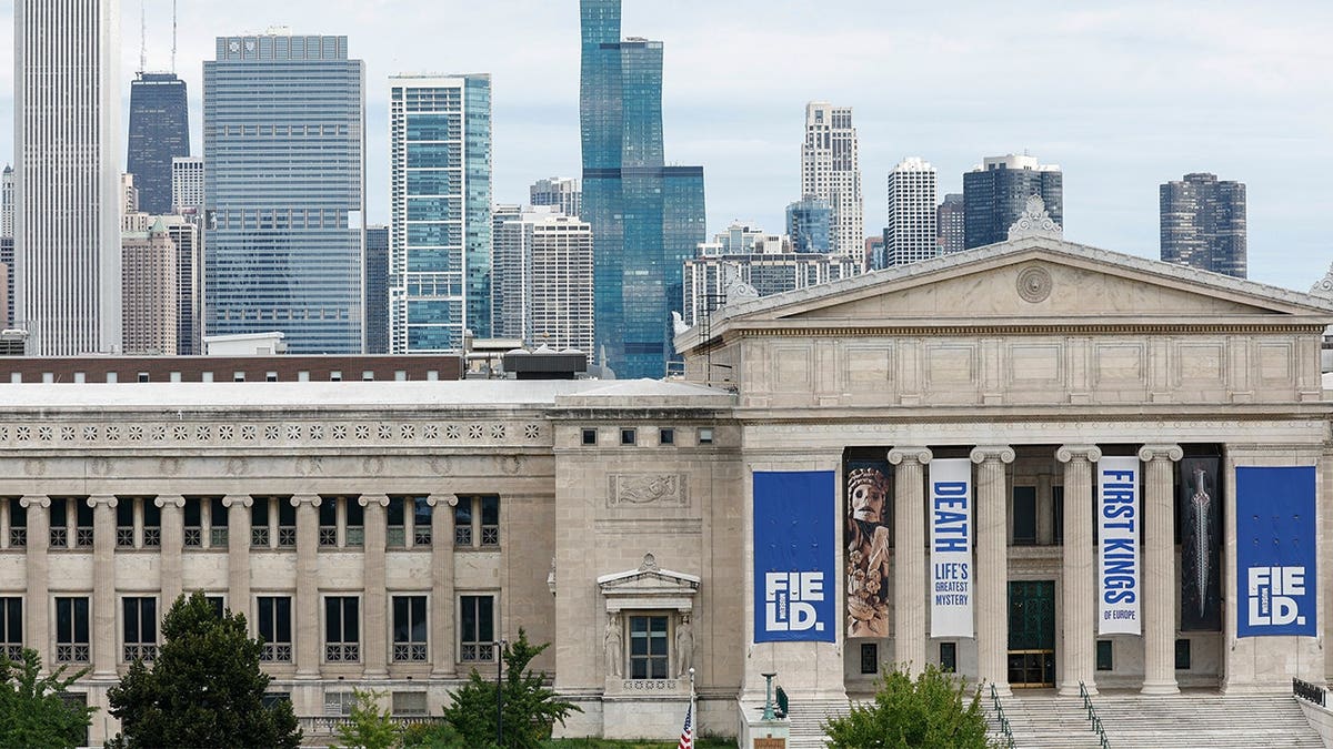Exterior of Field Museum in Chicago against city skyline