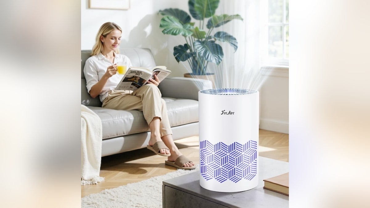 Made for medium to large homes, this purifier constantly refreshes the air.