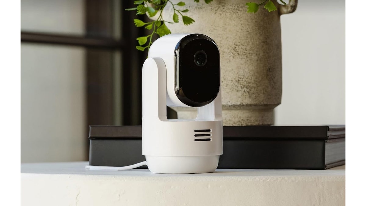 Monitor your pets with this camera.