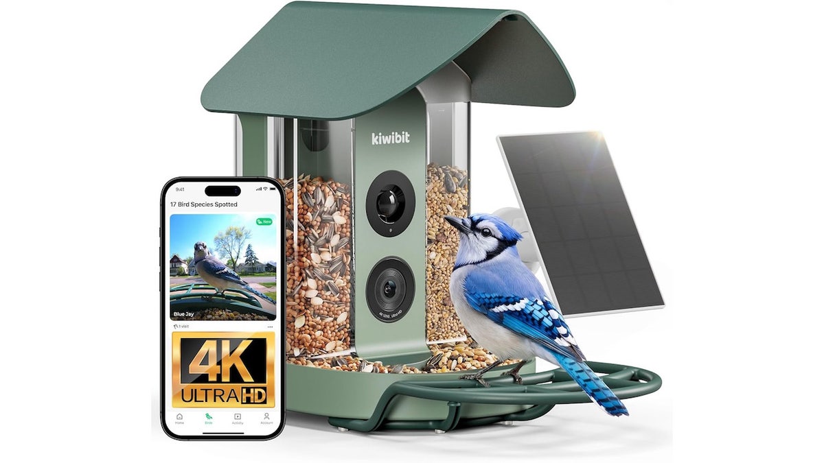 Identify more bird breeds with a smart feeder.