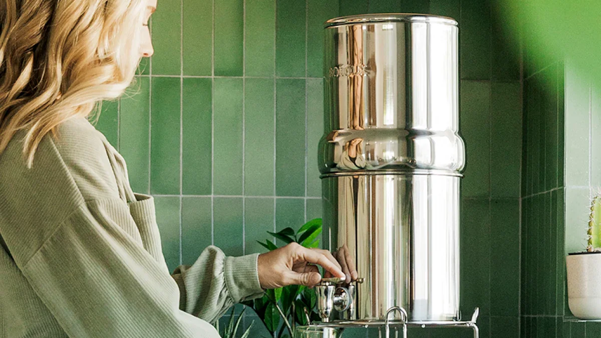 boroux legacy water filter