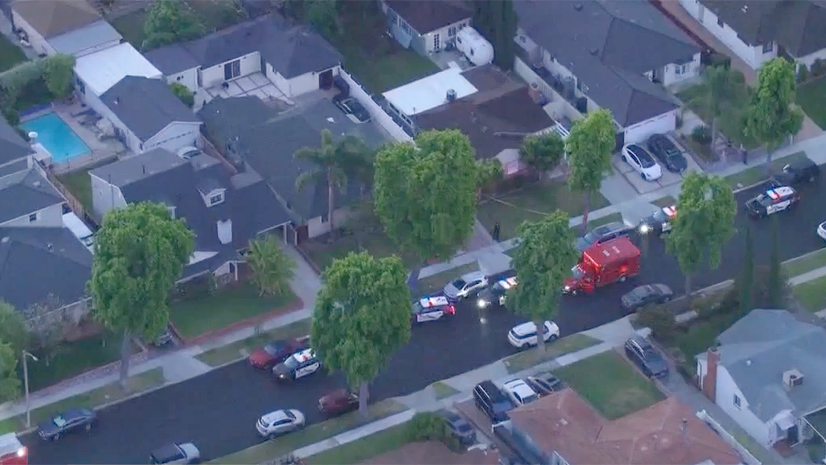 Aerial view of Burbank neighborhood where deadly stabbing occurred