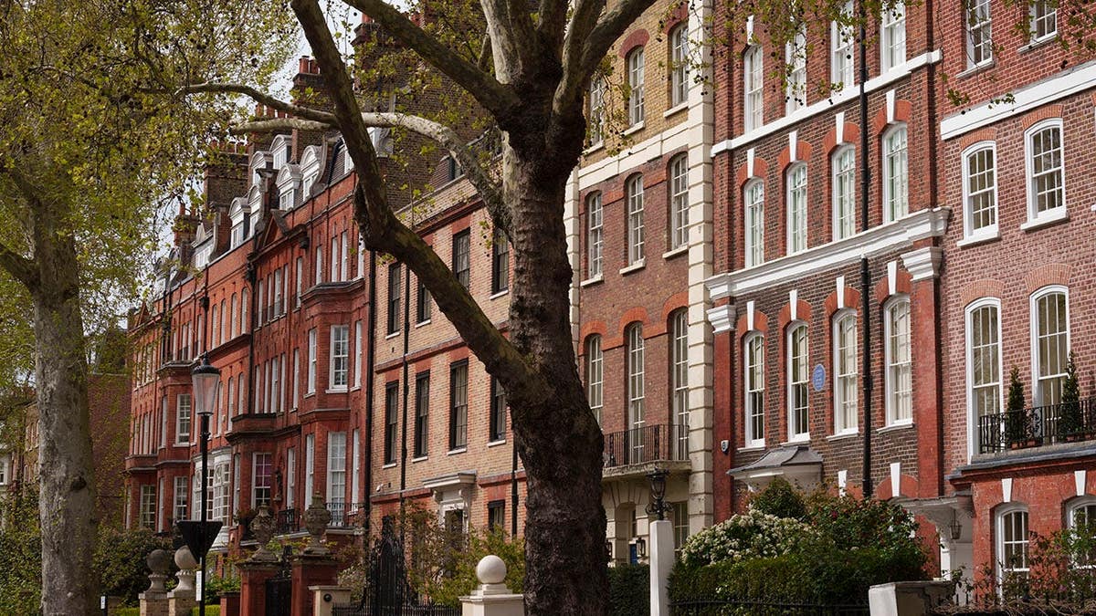 Houses and properties along Cheyne Walk in Chelsea, London