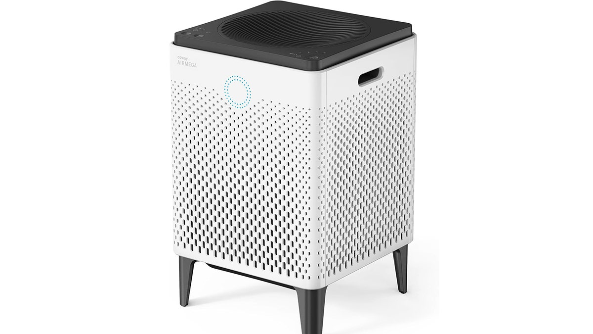 This air purifier covers large spaces and helps reduce pet dander.