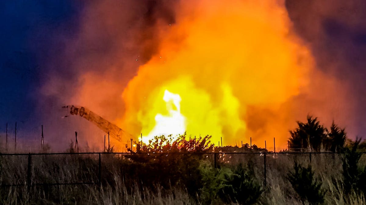 A dinosaur statue near a fire field station