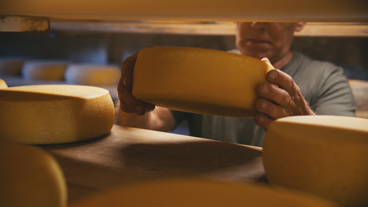 Trabalhador inspecionando uma roda de queijo na sala de envelhecimento
