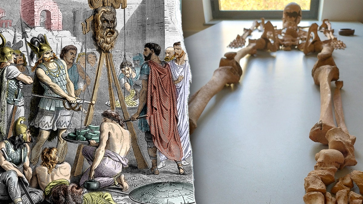 Ancient skeletons in 'seated' position unearthed beneath school in Dijon, France 2 split image ofGauls and Romans battling, skeleton in lab
