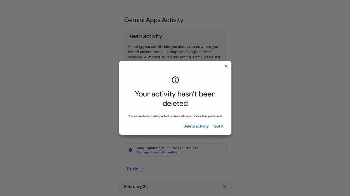 A Gemini opt-out screen