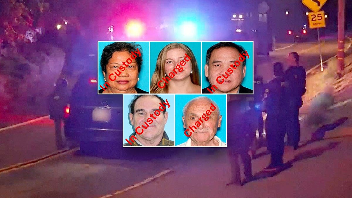 Mugshots of suspects arrested in Los Angeles health care fraud scheme involving hospice fraud and Medicare billing