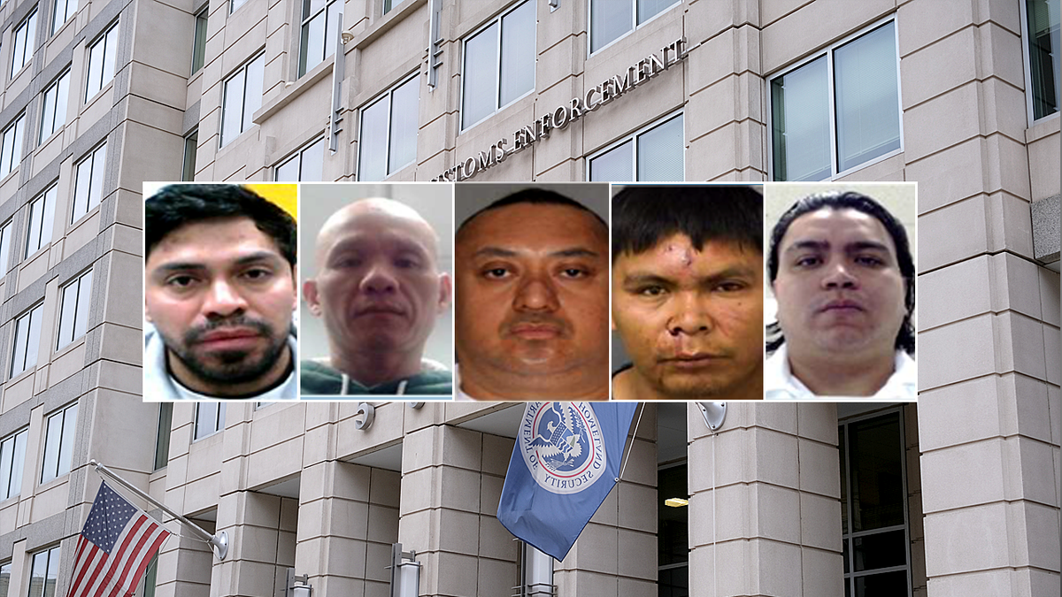 Migrants arrested by ICE