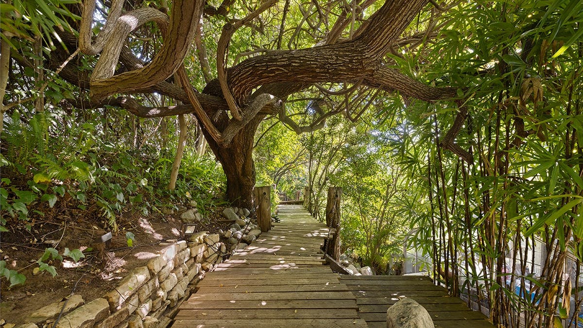 A wood-laid path outside the home
