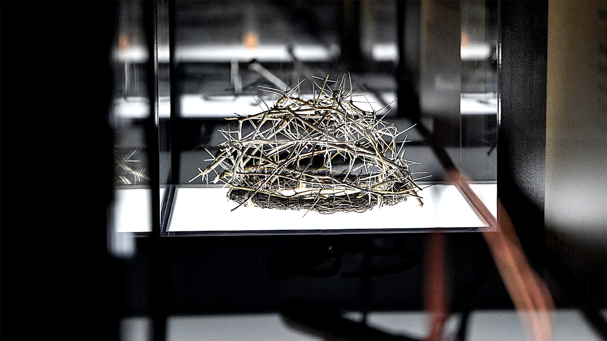 Crown of thorns replica