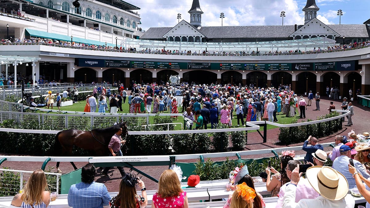 Fans watching horses being walked around the paddock at Churchill Downs