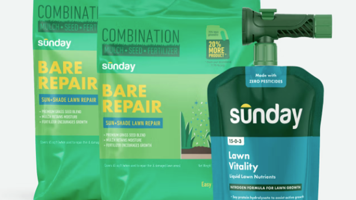 Repair bald spots on your lawn now that spring is here. 