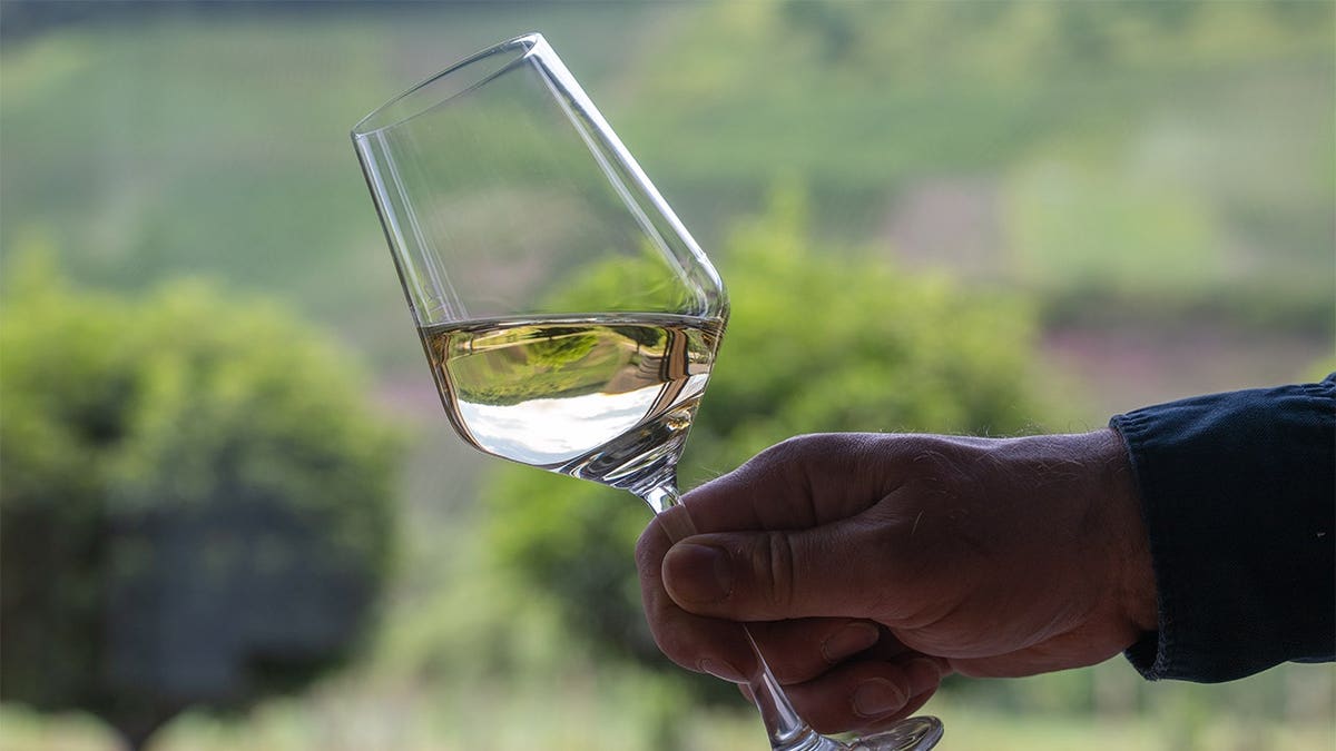 A winegrower examines a glass of Moselle Riesling inside the Selbach wine shop in Zeltingen-Rachtig