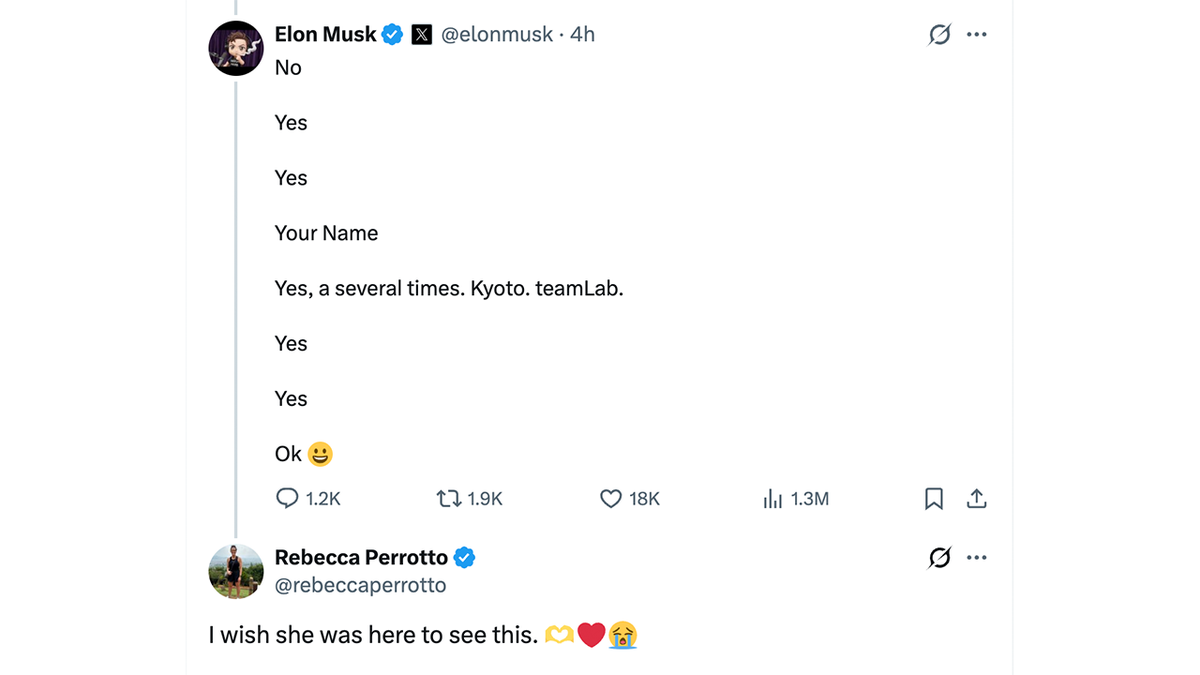 Screenshot of Elon Musk reply