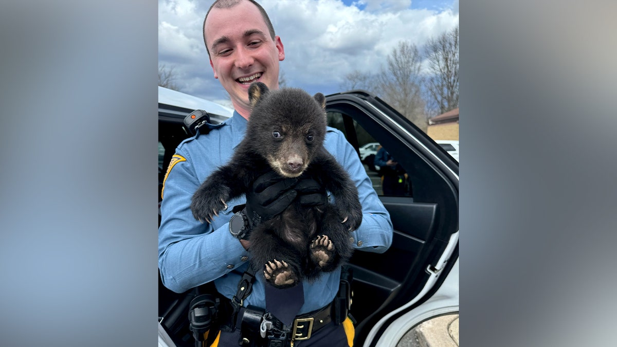 New Jersey State Police K-9 cub lasting connected grass