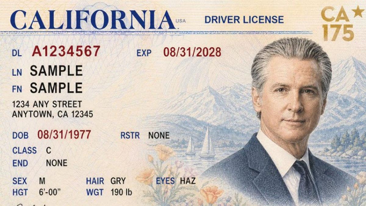 California Gov. Gavin Newsom on a mock driver's license.