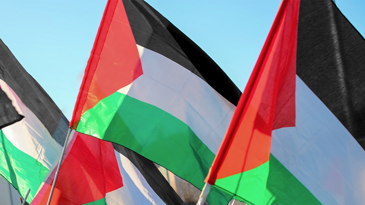 Bandeiras palestinas