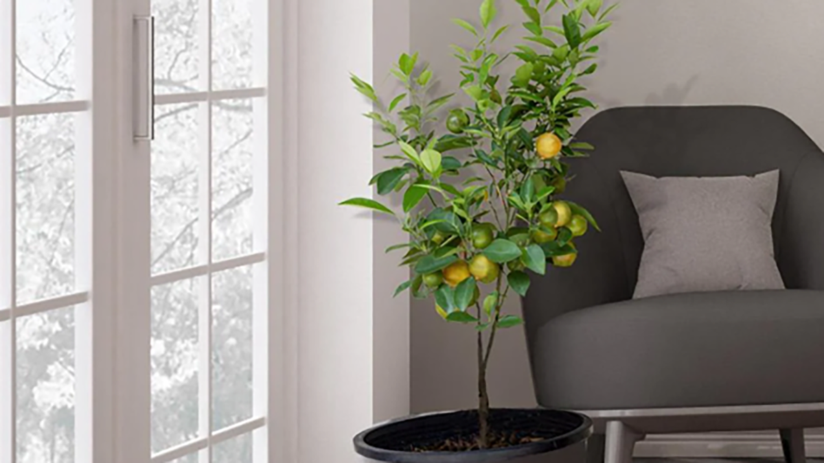 Gardening moms will love this one-of-a-kind addition to their setup.