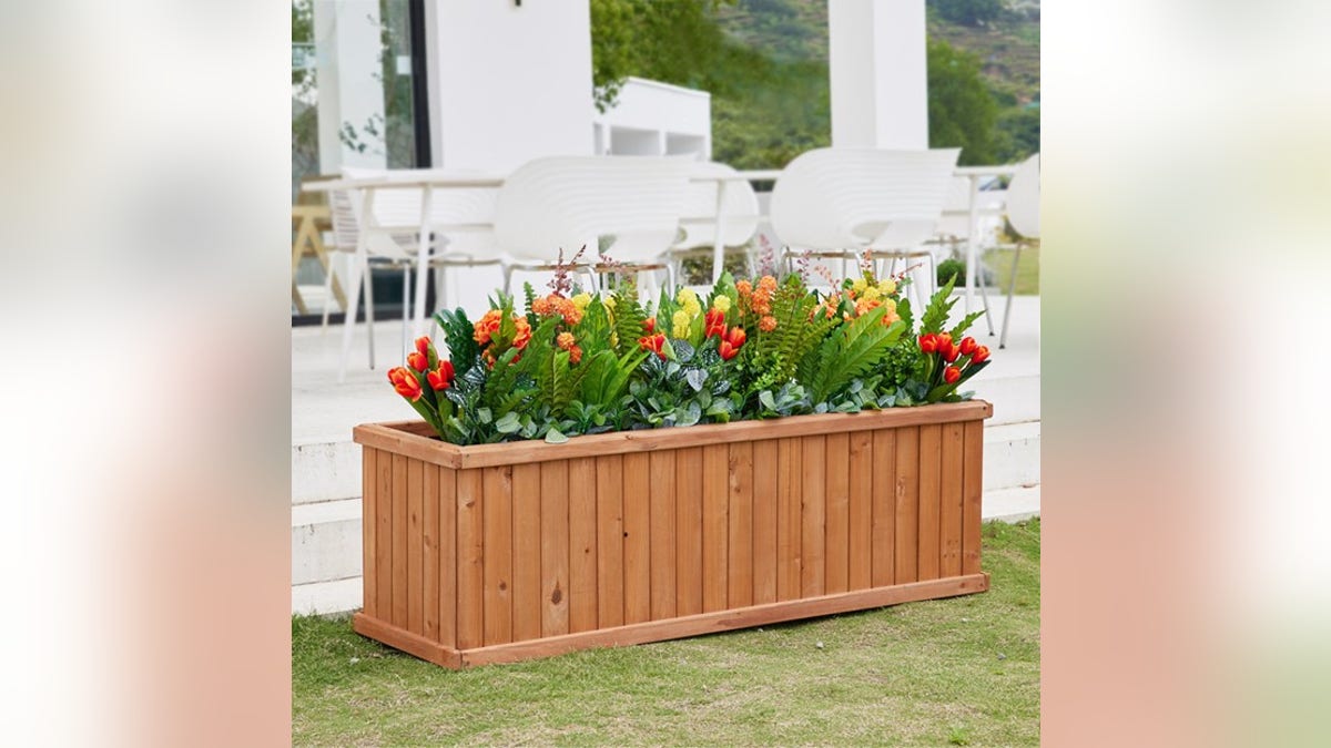 This box is tall enough to grow veggies, flowers or herbs. 