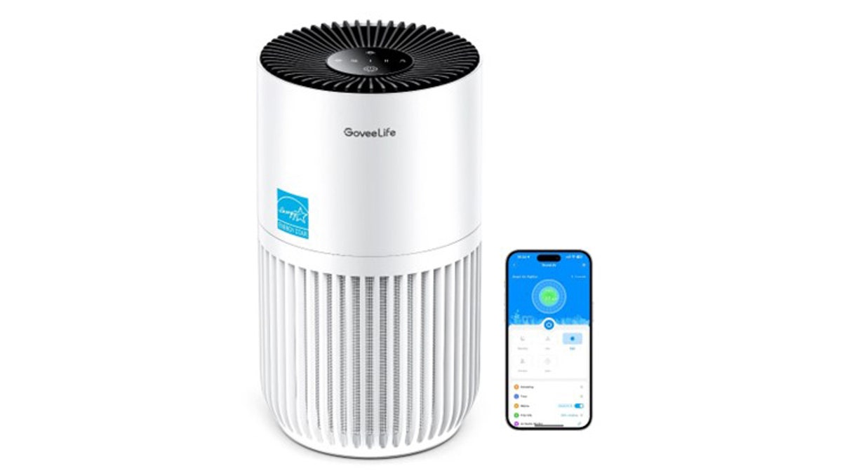 Packed with smart features, this purifier has an app with voice control. 