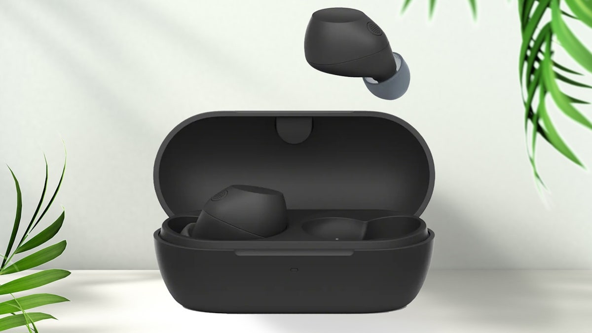 Sony's budget noise-cancelling earbuds punch above their weight.