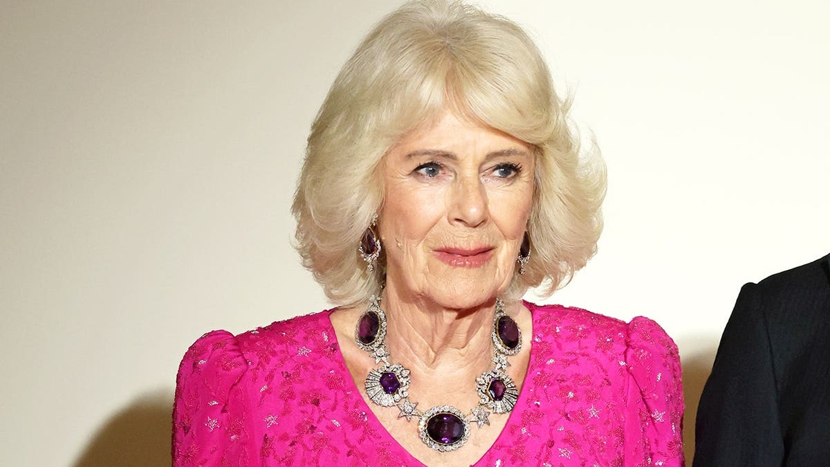 Queen Camilla posing on the Grand Staircase at the White House during a state dinner