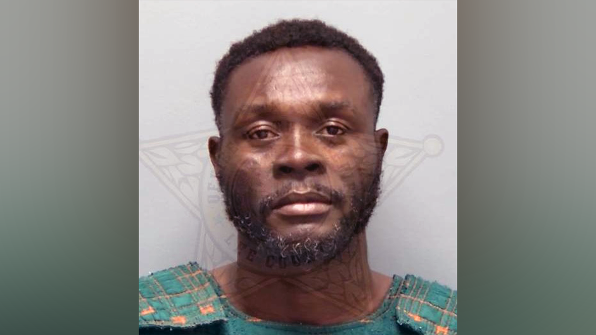 Daylight hammer attack suspect is illegal alien released under Biden policies: DHS