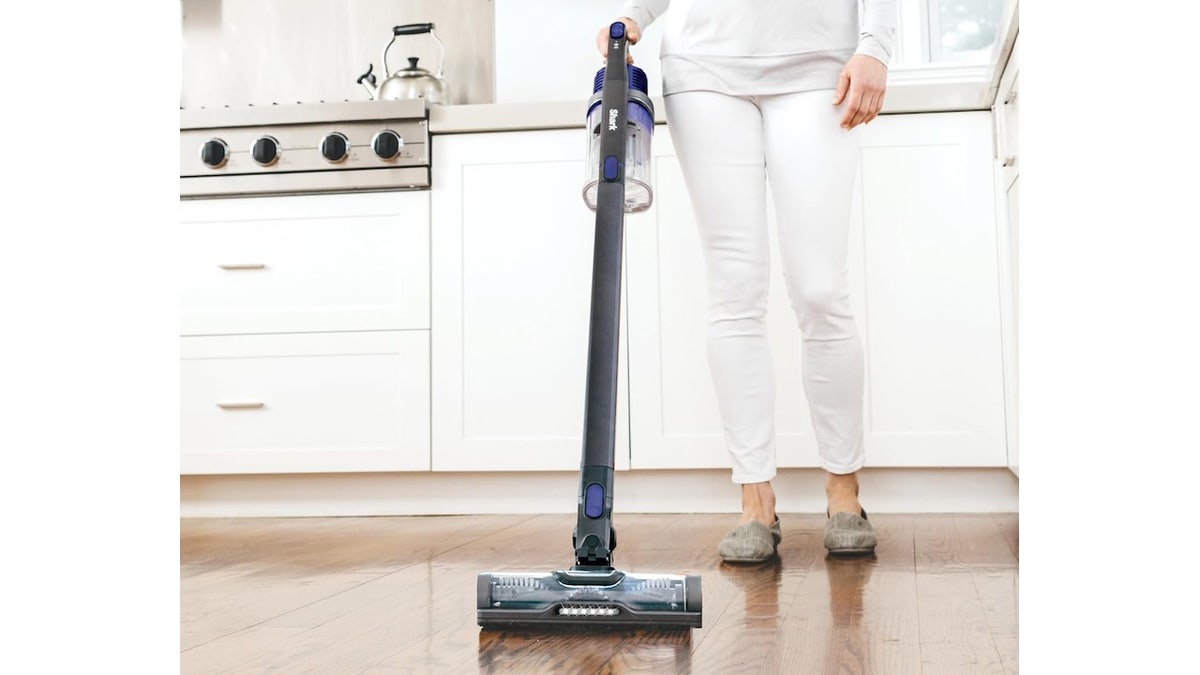This portable vacuum helps clean up pet messes.