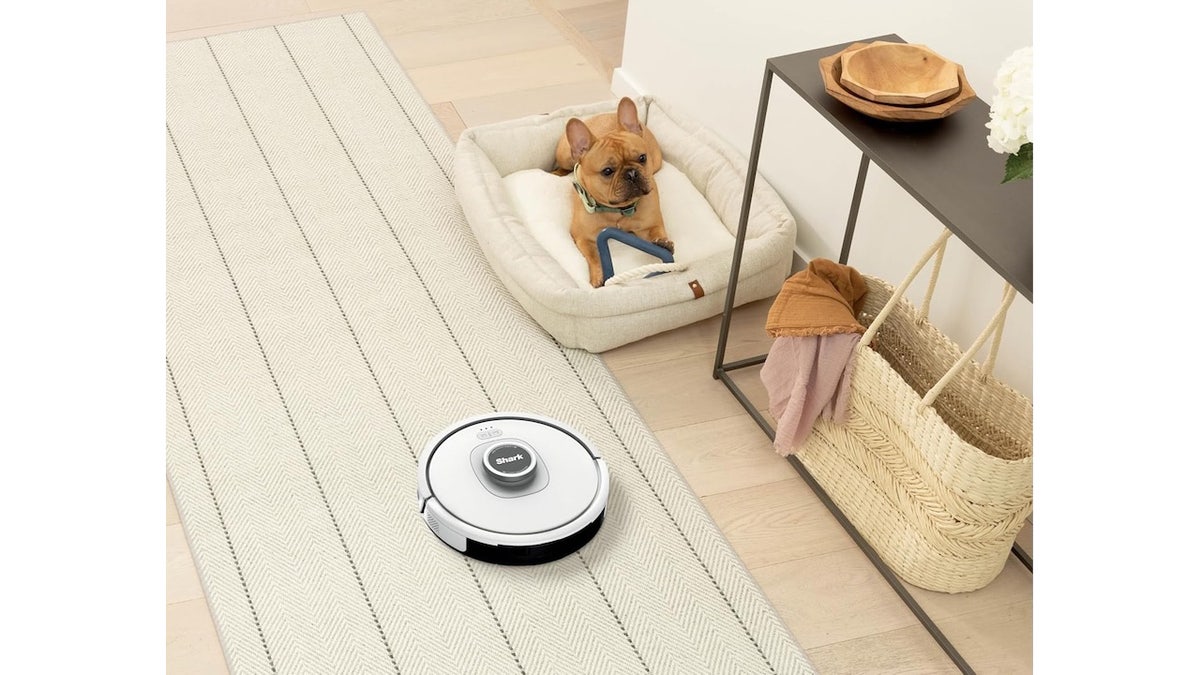 Leave the cleaning to the robots.