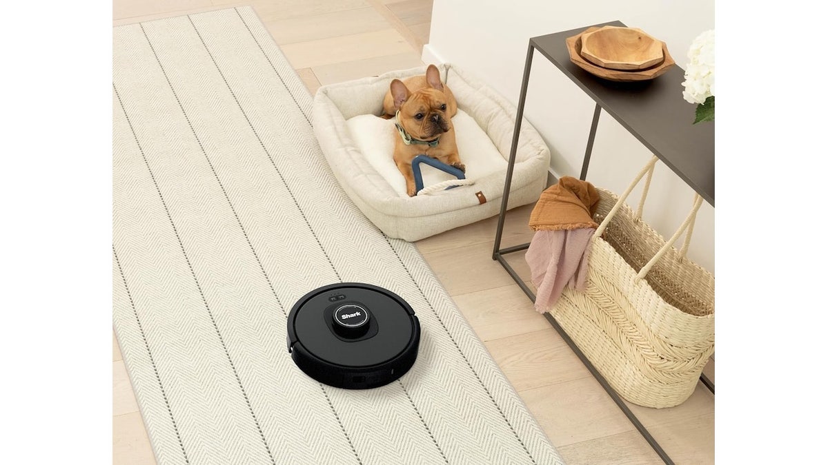 Get a whole-home clean without doing any of the work.