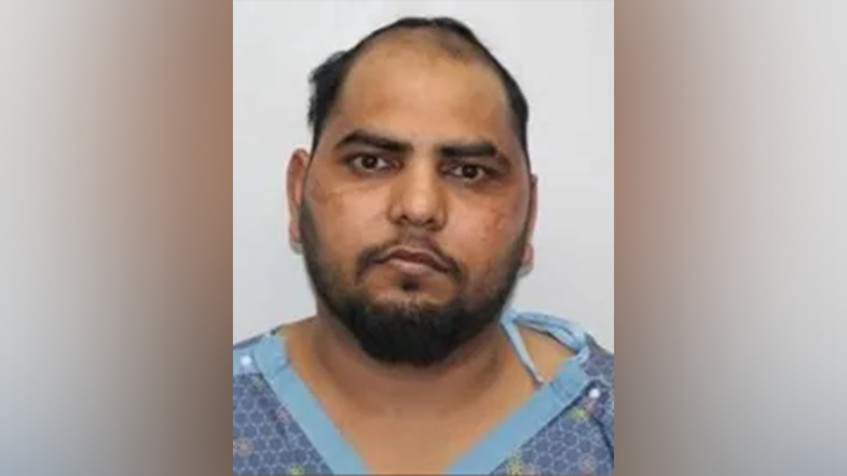 Tarsem Singh mugshot