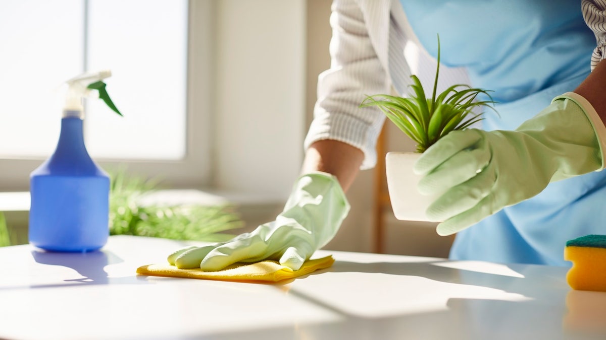 These cleaning essentials make it easier to tackle those hate-to-clean jobs.