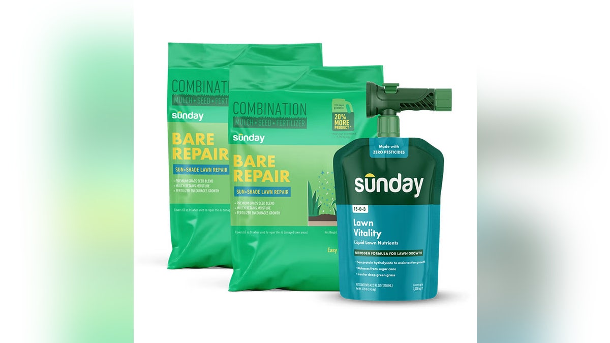 Repair bald spots on your lawn now that spring is here.