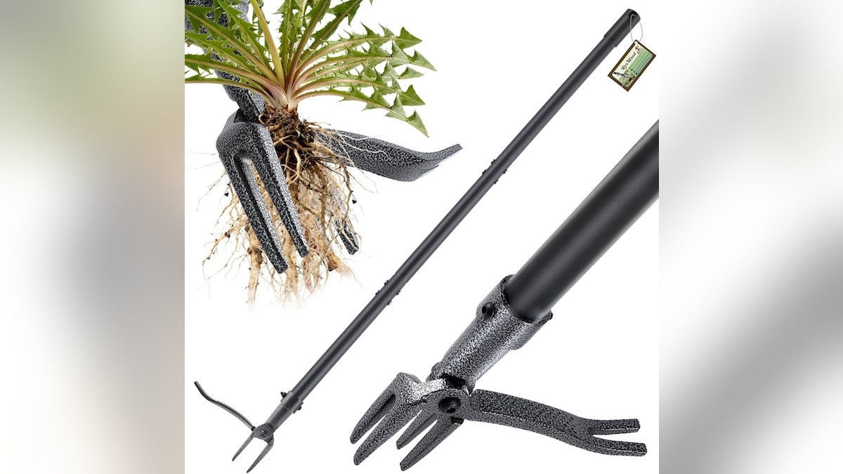 Pull weeds out the first time with this easy-to-use tool. 