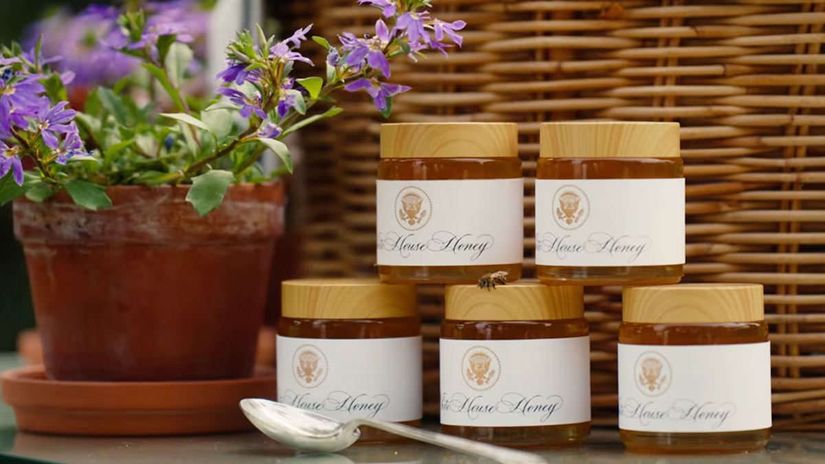 Querida da Casa Branca