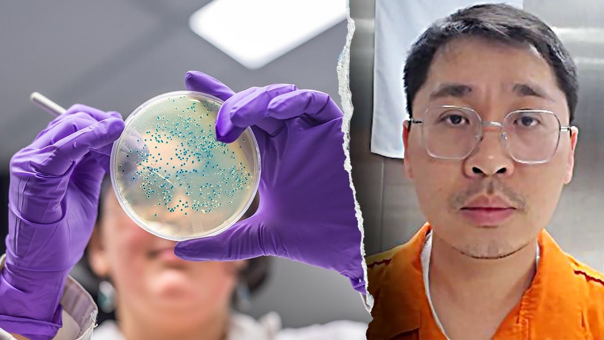 Split image of E. coli bacteria sample in a lab and Chinese researcher Youhuang Xiang
