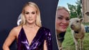 Carrie Underwood says her family could be 'self-sustained' on Tennessee farm away from Hollywood spotlight