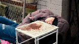 Seattle Mayor Katie Wilson homelessness and drugs