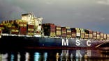 The Panama-flagged MSC Francesca vessel docked in Long Beach, California