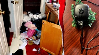 Judge describes illegal immigrant burglary crew's cross country operation as 'Ocean's Eleven-style conduct'