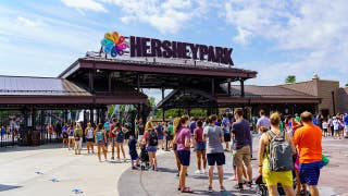 'Unsupervised' child at HersheyPark zoo injured by wolf after crawling under safety barrier