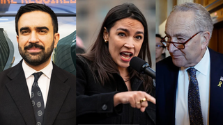 Mamdani sidesteps question on whether he supports AOC challenging Schumer