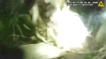 Bodycam shows dad flee with child in arms before girl is found alone in woods - Fox News