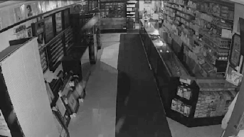 Surveillance shows hooded crooks target business in crime-plagued city - Fox News