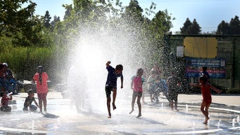 EPA reveals billions in lead removal funds sat untouched in state coffers - Fox News