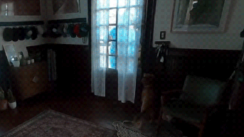 Christina Koch reunites with dog after Artemis II moon mission return - Fox News