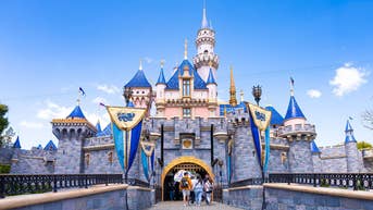 Illegal Disney stroller hack sparks praise and outrage as ticket prices fuel backlash - Fox News